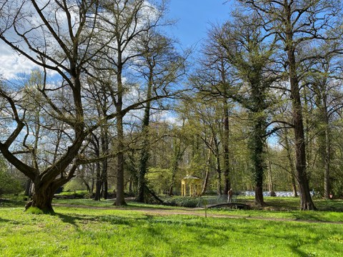 Blick über die Parkwiese von Schloss Jahnishausen zum Pavillon auf der Insel.