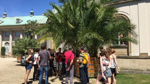 Studierende während eines Seminars vor einer Palme in Pillnitz