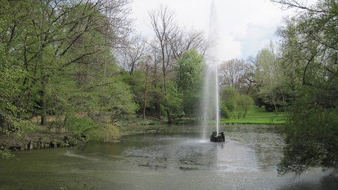 Foto zeigt eine Fontäne in der Bürgerwiese in Dresden.