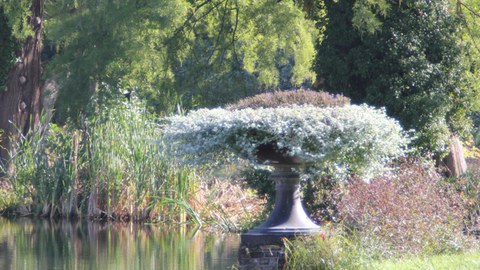 Foto zeigt eine Gartenvase im Schloss Sanssouci in Potsdam. Diese befindet sich im Teichrand und ist üppig bepflanzt.