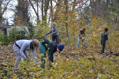 Foto zeigt Pflegearbeiten im Schlosspark.