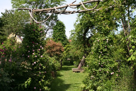 Blick in den Kirchgarten von Saxdorf.