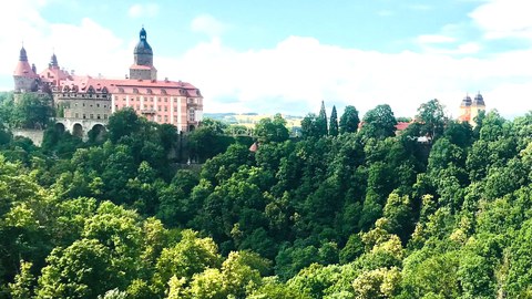 Blick über den Fürstensteiner Grund zum Schloss Fürstenstein