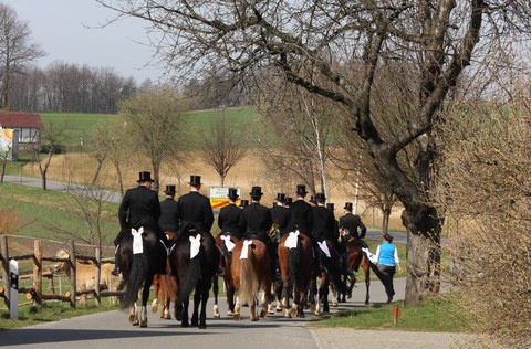 Foto zeigt die Osterreiter auf dem Weg nach Panschwitz-Kuckau.