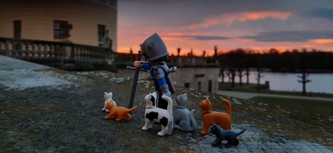 Ritter Knalltsbald und die Katzen vor Schloss Moritzburg