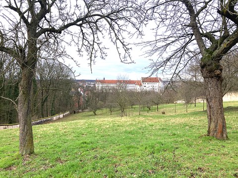 Blick auf Schloss Colditz von der ehemaligen Schlossgärtnerei