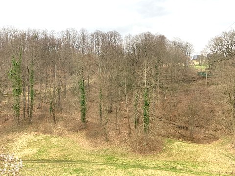 Terrassengarten zwischen Schlosspark und Schlossgärtnerei