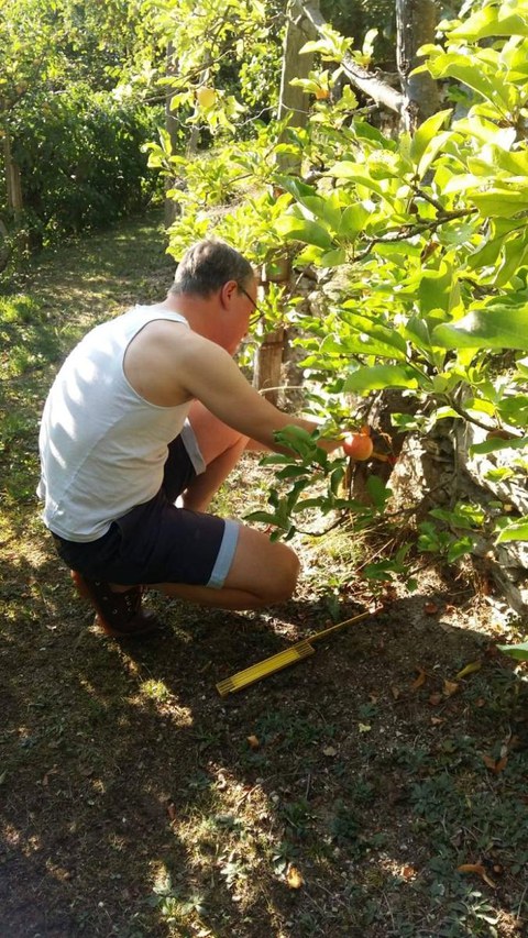 Foto zeigt die Bestandsaufnahme im Obstgarten.