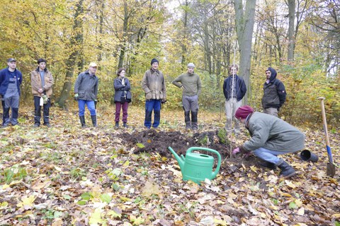 Pflanzung einer Moorbirke am Schwanenteich