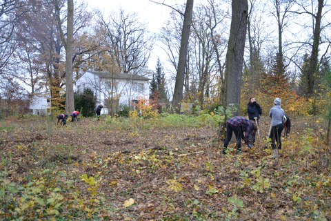Foto zeigt einen Einsatz zur Wildwuchsbeseitigung im Thammenhainer Schlosspark.
