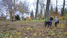 Foto zeigt einen Einsatz zur Wildwuchsbeseitigung im Thammenhainer Schlosspark.