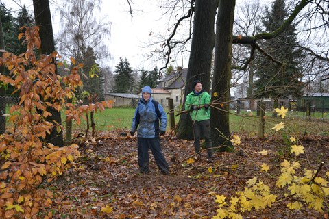 Foto zeigt die Wildwuchsbeseitigung im Thammenhainer Schlosspark durch Studenten und Freiwillige.
