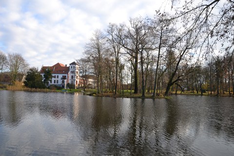 Foto zeigt das Thammenhainer Schloss im Hintergrund. Im Vordergrund ist der Schlossteich zu sehen, auf dem eine bewachsene Insel zu sehen ist.