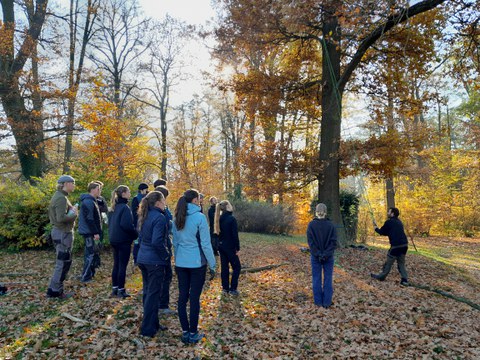 Baumkletterer erläutern den Studierenden Seilklettertechnik und das Vorgehen bei der Baumkontrolle