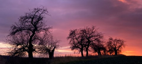 Sonnenuntergang zwischen Somsdorf und Tharandt