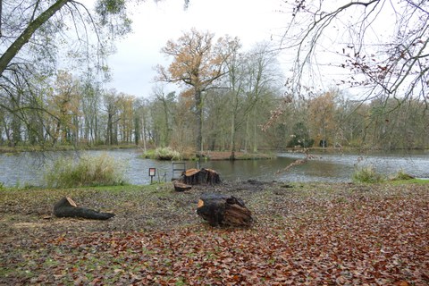 Wiederherstellung der Sicht auf die Insel im Schwanenteich