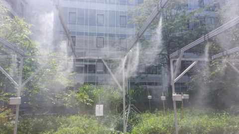 Zerstäuberanlage seitlich