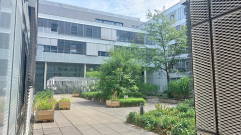 Zerstäuberanlage Ostseite