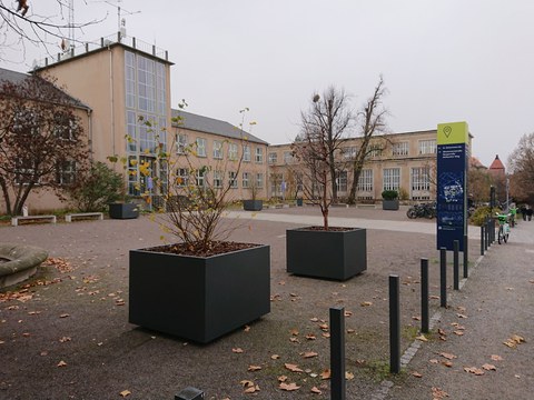 Pflanzkübel am Barkhausenbau