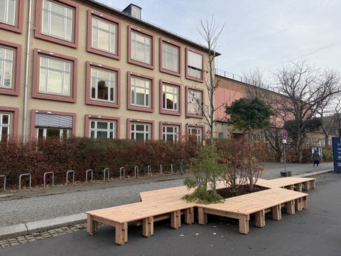 Holzdeck mit Bäumchen vor Toepler-Bau