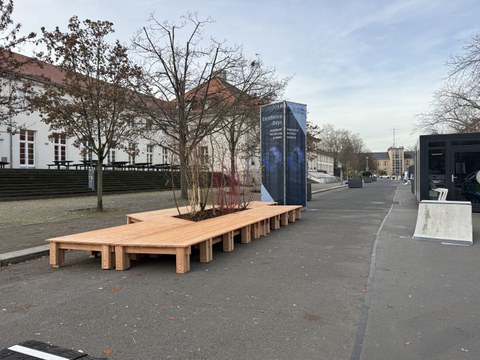 Holzdeck mit Bäumchen vor Alter Mensa