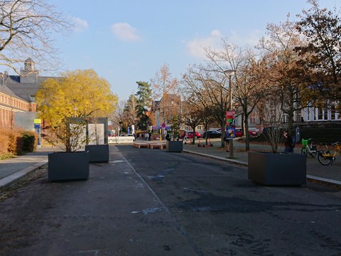 Ansicht Mommsenstraße mit Pflanzkübeln