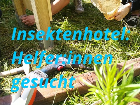 Helfer:innen gesucht für Insektenhotel