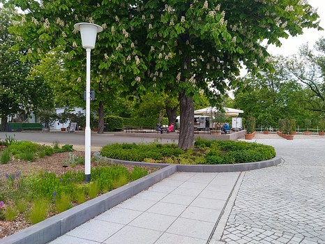 Weg mit Bäumen und Beeten