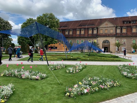 Blumenwiese