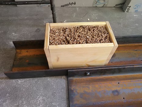 Ein fertiges Holzelement, gefüllt mir Schilfrohren.