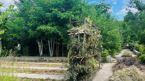 Parklabor Tolkewitz SoSe26 - Workshop am 18.06.26