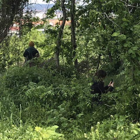 "Walking the Südpark" mit Till Schuster am 27.05.2021