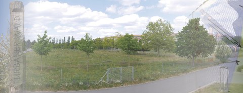 Fotocollage zum Schönauer Holz in Leipzig