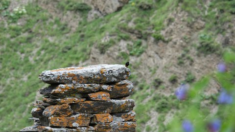 Foto eines Steinhaufens im Kaukausus