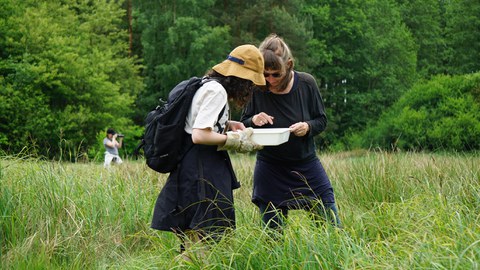 Zwei Personen auf einer Wiese untersuchen etwas in einer Plastikwanne