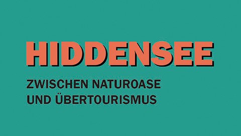 Schriftzug HIDDENSEE auf grünem Hintergrund