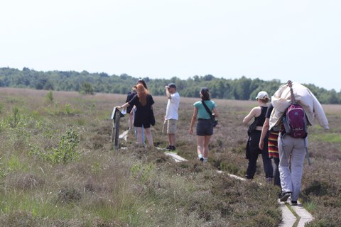 Gruppe Studierender läuft auf einem Pfad durchs Dümmer Moor