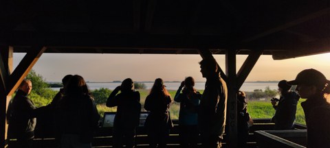 Gruppe Studierender beobachtet zum Sonnenaufgang mit Ferngläsern Vögel