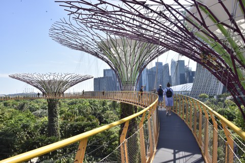 Foto der Singapore Supertrees