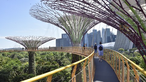 Foto der Singapore Supertrees