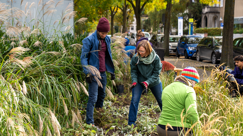 Pflanzaktion am Mommsenplatz