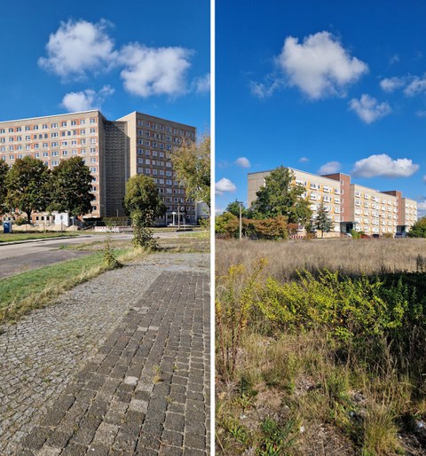 Freiraumsituationen in Hoyerswerda