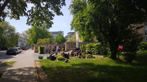 Die Studierenden während des Pflanzprozesses