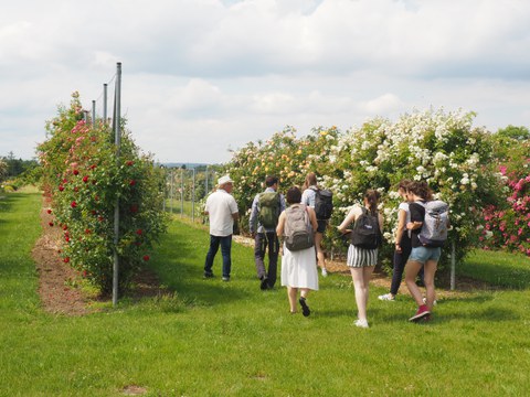 Studierende besuchen die ADR Rosensichtung