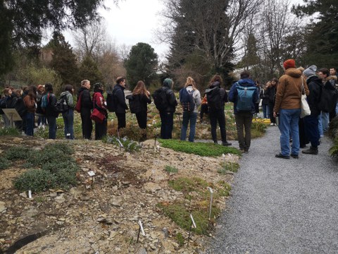 Die Studierenden stehen an eine Pflanzfläche im Botanischen Garten und folgen dem Vortrag. 