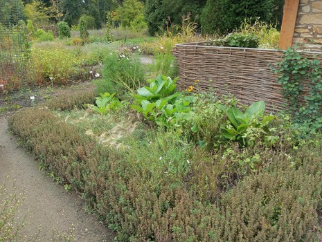 Das Beet am Pavillon im September