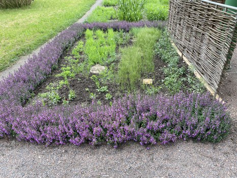 Das Beet am Pavillon im Juli