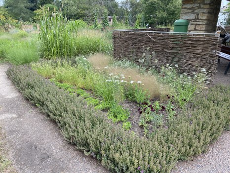 Das Beet am Pavillon im Juli
