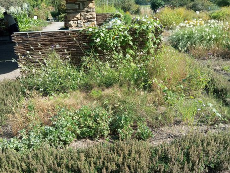 Das Beet am Pavillon im September