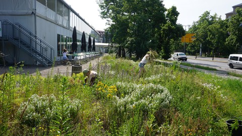 Pflegeaktion an der Zeltmensa